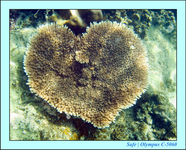 2008 - 07 - Redang - 062